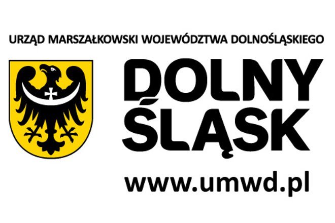 logo ds